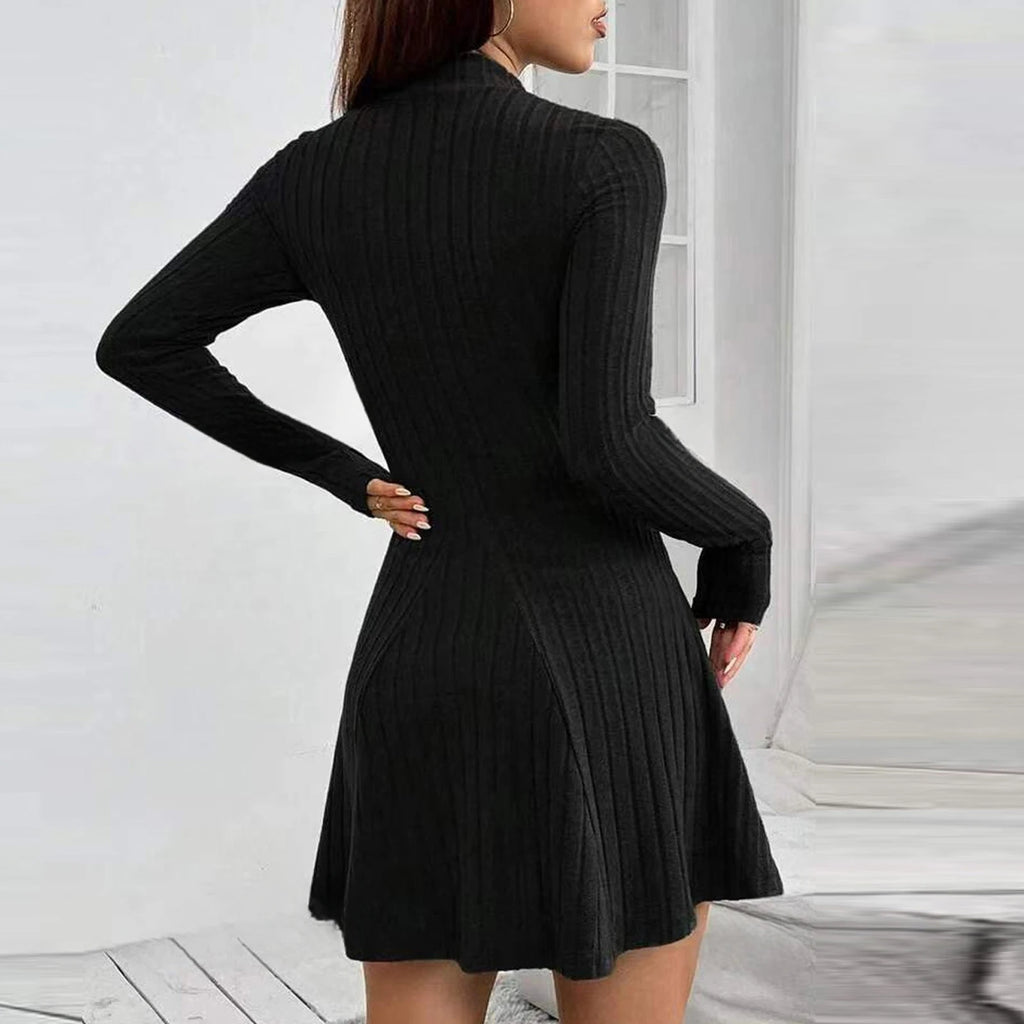Knitted Turtleneck Long Sleeve Dress