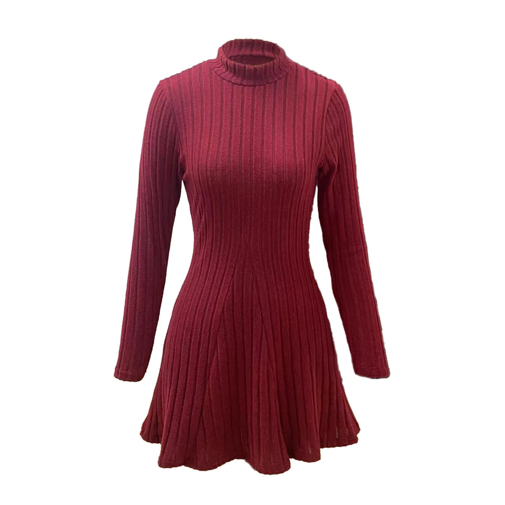 Knitted Turtleneck Long Sleeve Dress